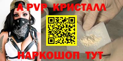 спиды Донской
