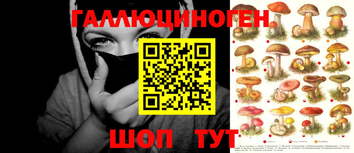 Малгобек  Галлюциногенные грибы мицелий  Псилоцибиновые грибы Magic Shrooms  Вход с VPN 